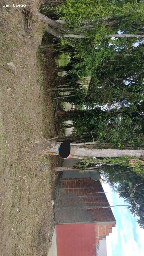 Terreno, 490 m² - Foto 2