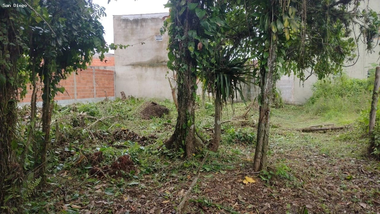 Terreno, 490 m² - Foto 5