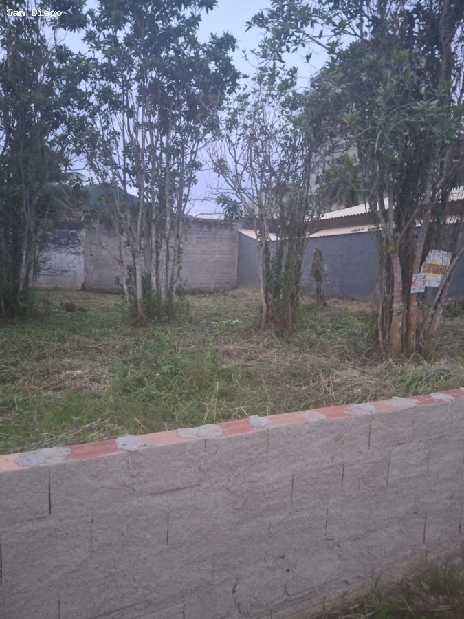 Terreno, 250 m² - Foto 4