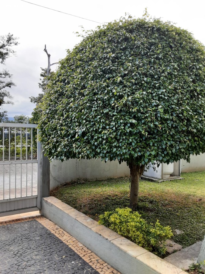 Apartamento, 1 quarto - Foto 18