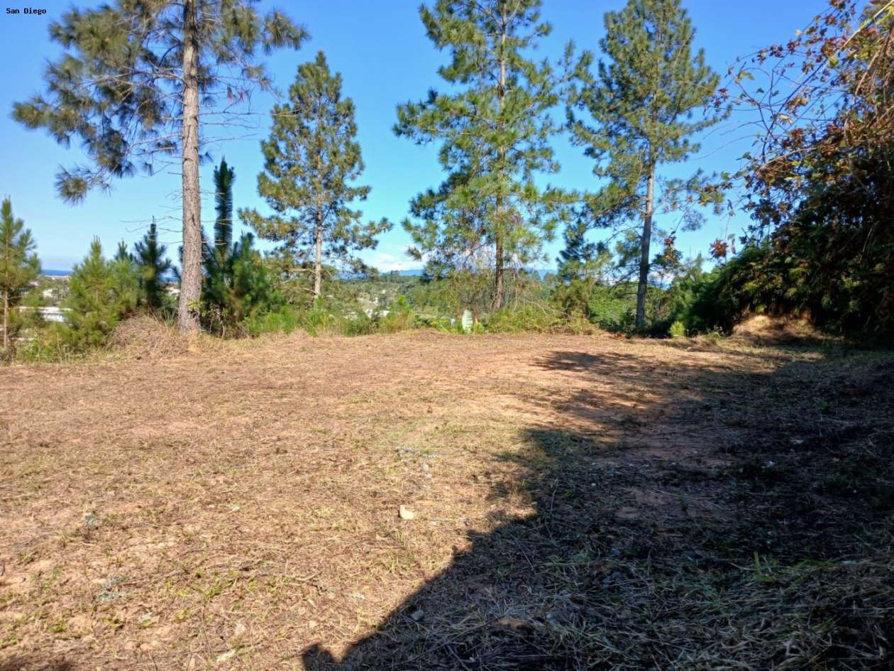 Terreno - Foto 2