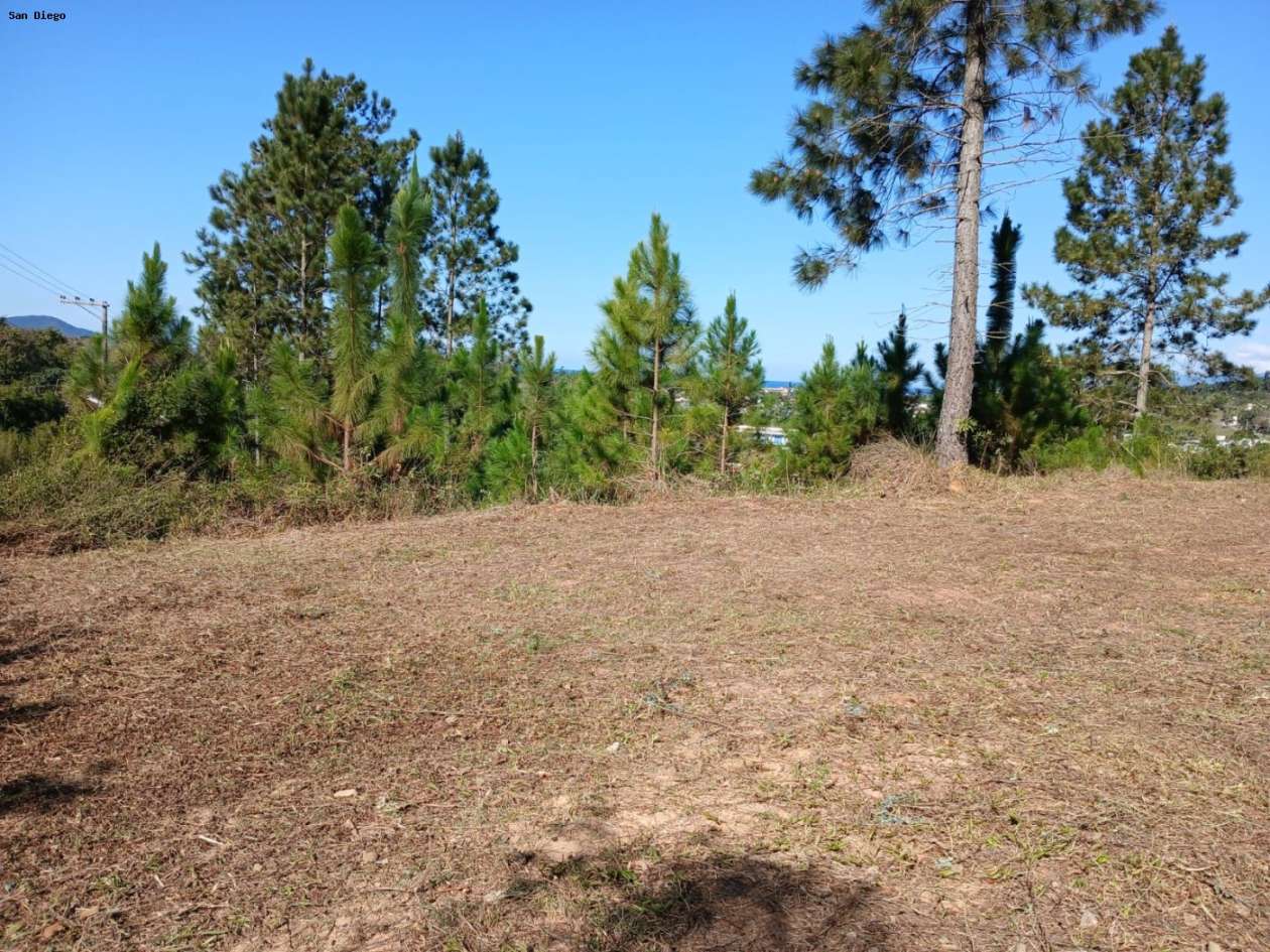 Terreno - Foto 4