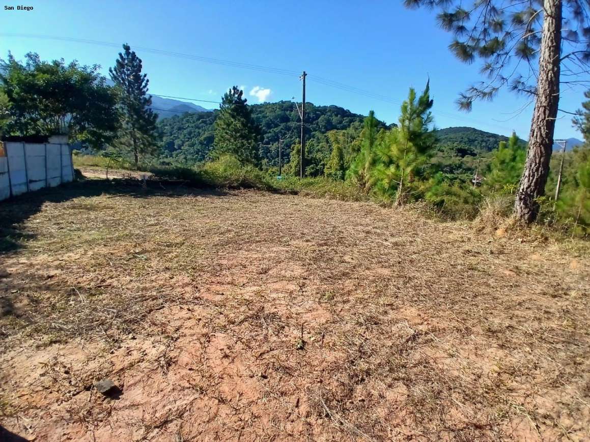 Terreno - Foto 6