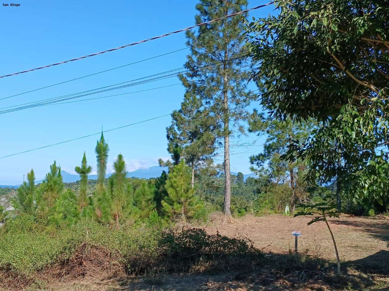 Terreno - Foto 10