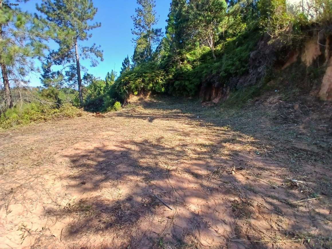 Terreno - Foto 9