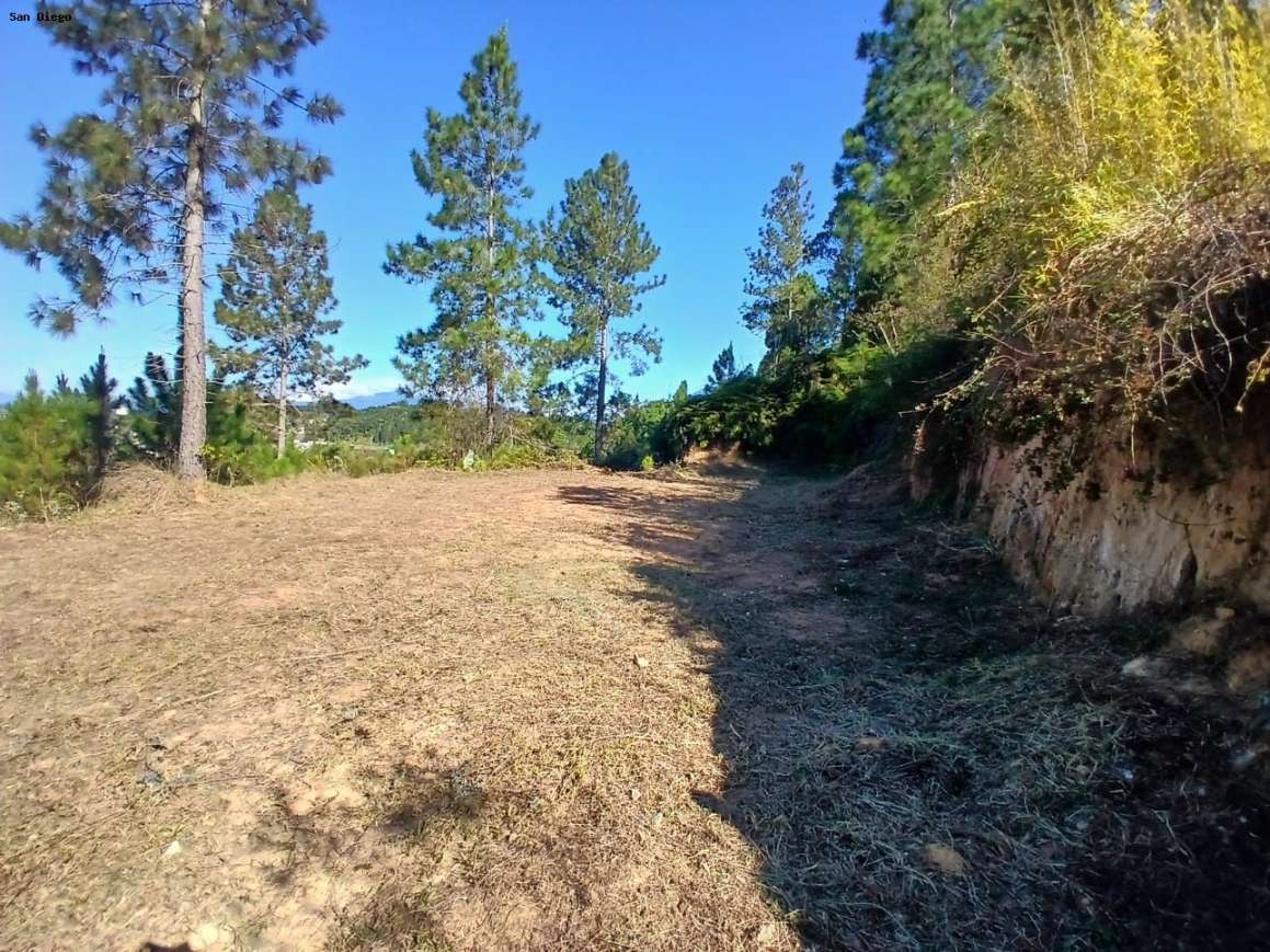 Terreno - Foto 12