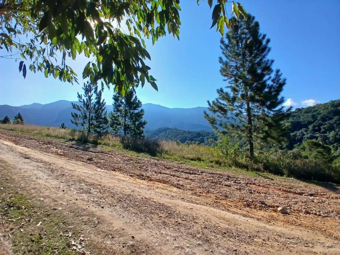 Terreno - Foto 19
