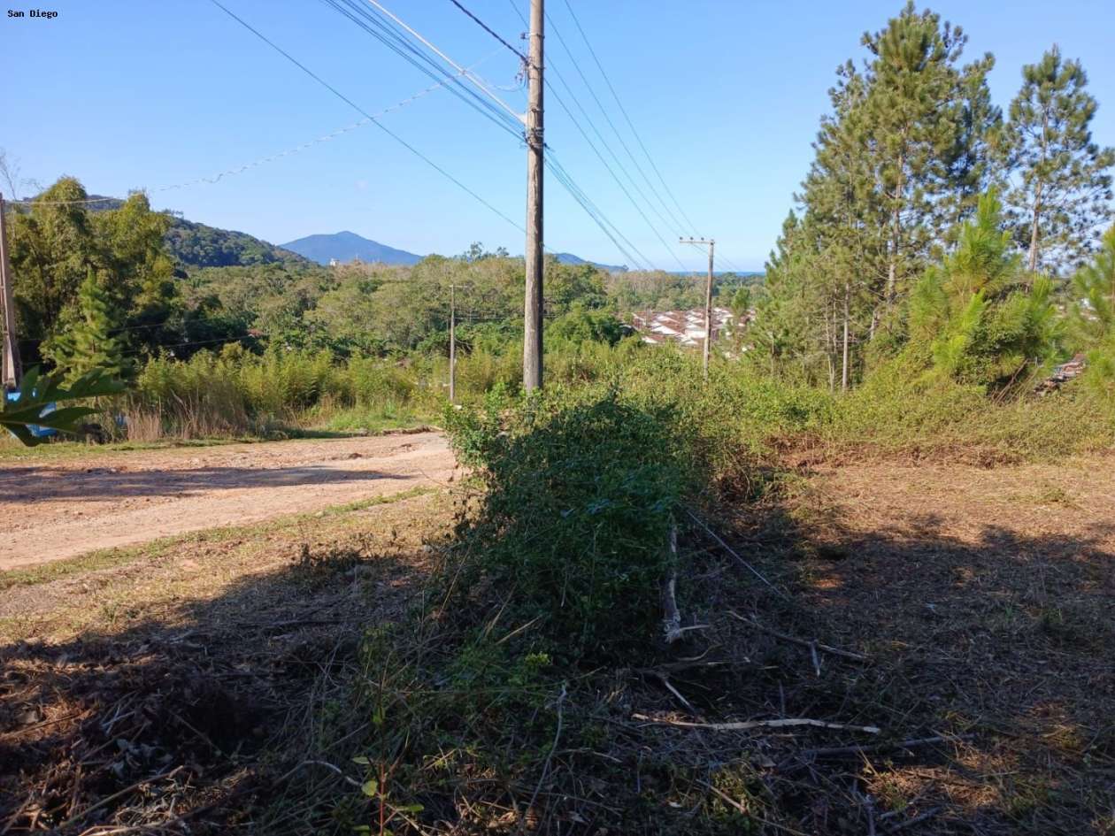 Terreno - Foto 17