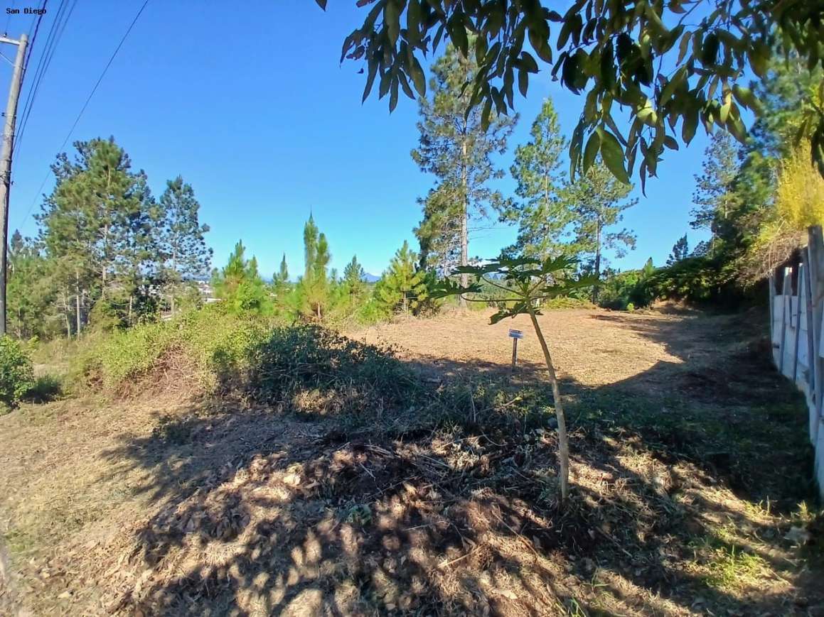Terreno - Foto 18