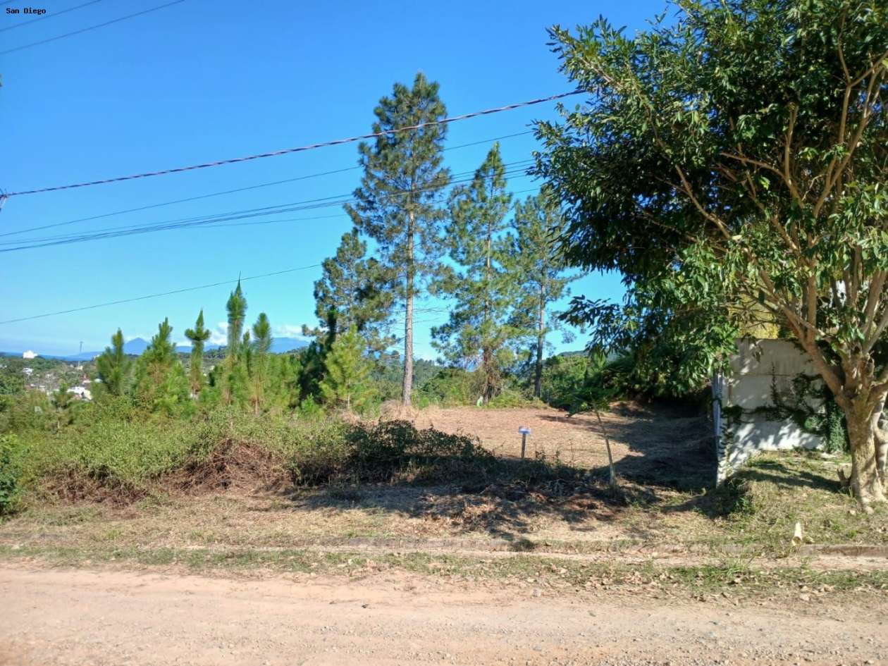 Terreno - Foto 21