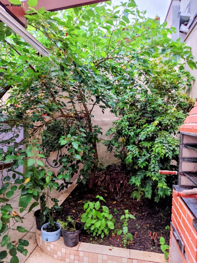 Casa, 4 quartos - Foto 9