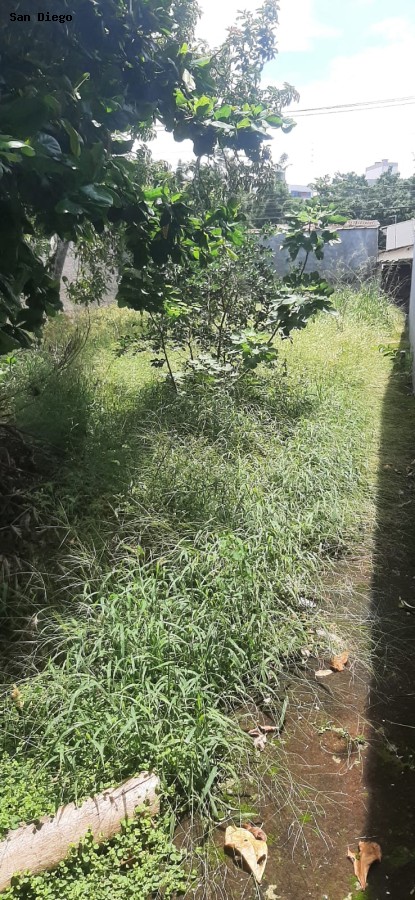 Terreno, 250 m² - Foto 3