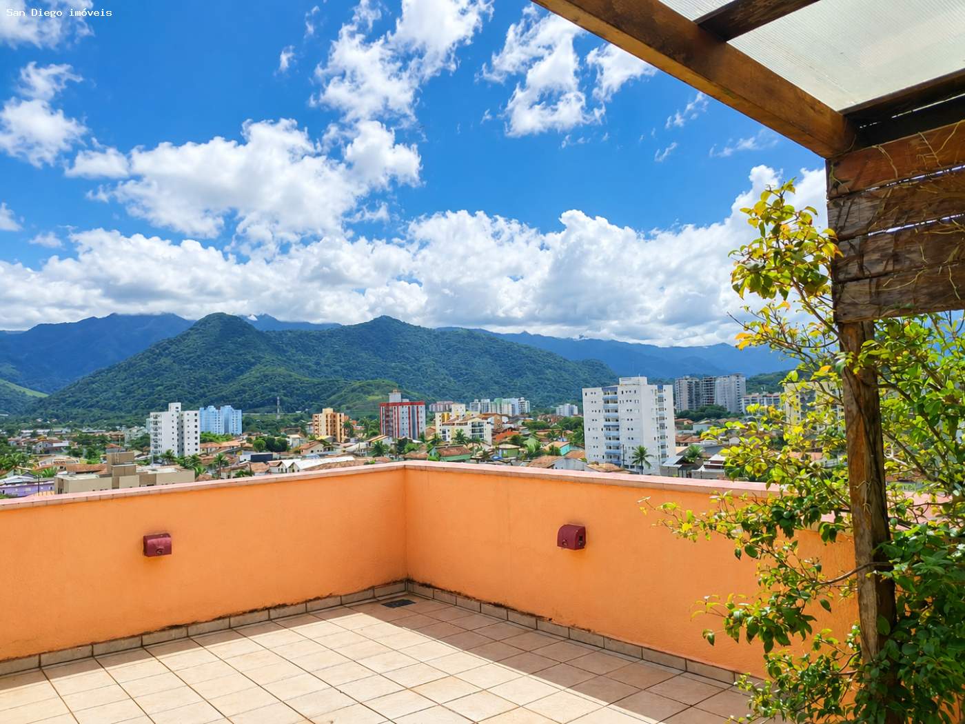 Apartamento - Foto 1