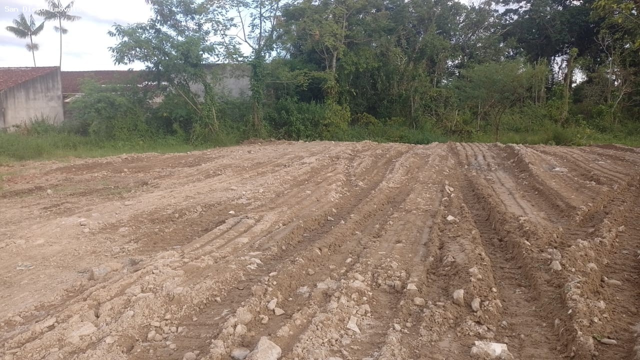 Terreno - Foto 4